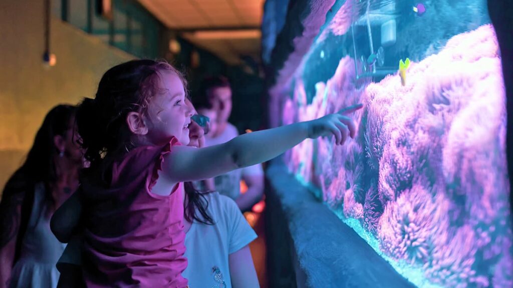aquarium, girl in parents arm pointing at fish in a tank